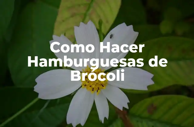 Como Hacer Hamburguesas de Brócoli