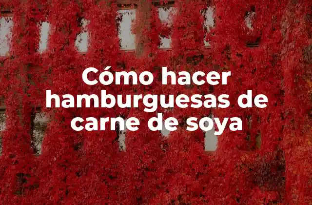 Cómo Hacer Hamburguesas de Carne de Soya
