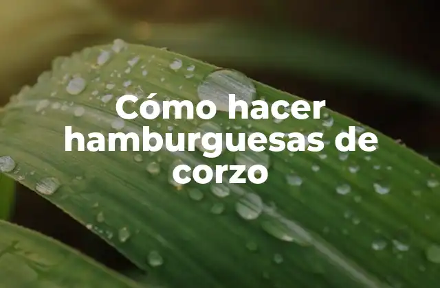 Cómo Hacer Hamburguesas de Corzo