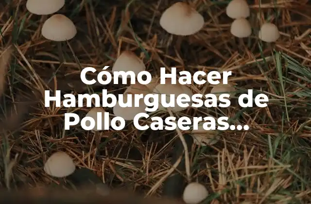 Cómo Hacer Hamburguesas de Pollo Caseras Deliciosas y Saludables 2 Beneficios de las Hamburguesas de Pollo