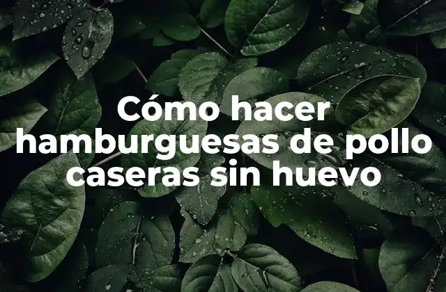 Cómo Hacer Hamburguesas de Pollo Caseras sin Huevo