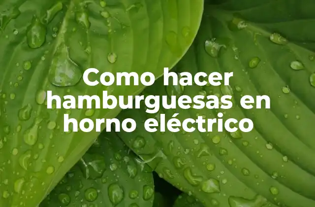 Como Hacer Hamburguesas en Horno Eléctrico