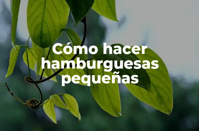 Cómo Hacer Hamburguesas Pequeñas