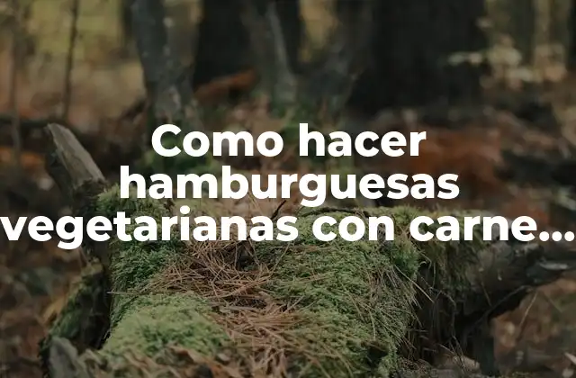 Como Hacer Hamburguesas Vegetarianas con Carne de Soya