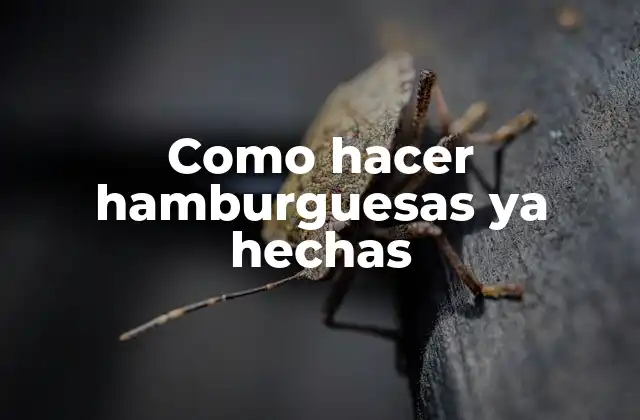 ¿Qué son las hamburguesas ya hechas?