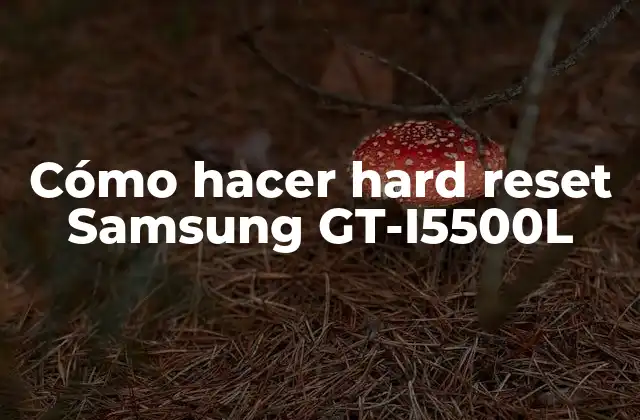 Cómo Hacer Hard Reset Samsung Gt-i5500l