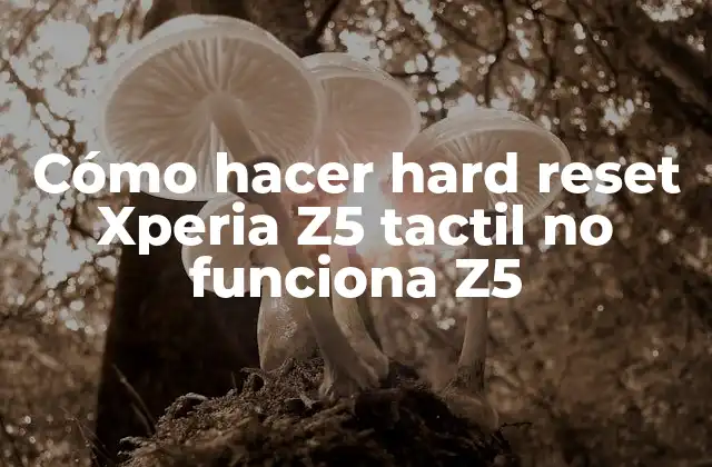 Cómo Hacer Hard Reset Xperia Z5 Tactil No Funciona Z5