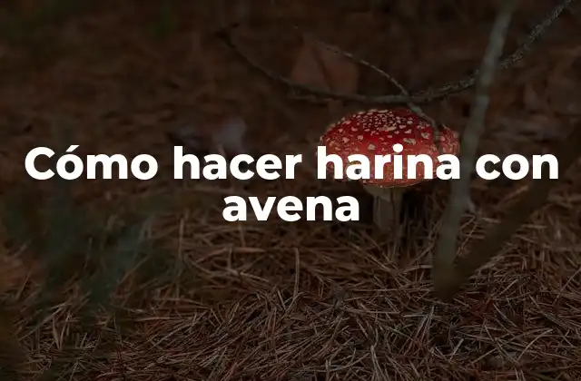 Cómo Hacer Harina con Avena