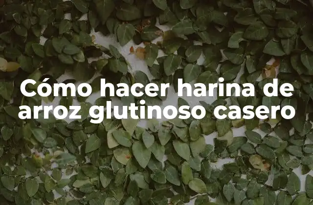 Cómo Hacer Harina de Arroz Glutinoso Casero