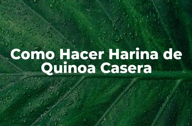 Como Hacer Harina de Quinoa Casera 2 Qué es la Harina de Quinoa Casera