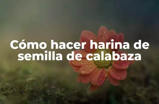 Cómo Hacer Harina de Semilla de Calabaza