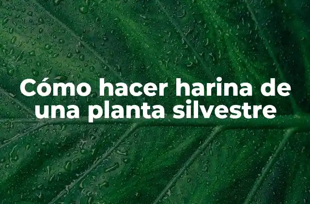 Cómo Hacer Harina de una Planta Silvestre