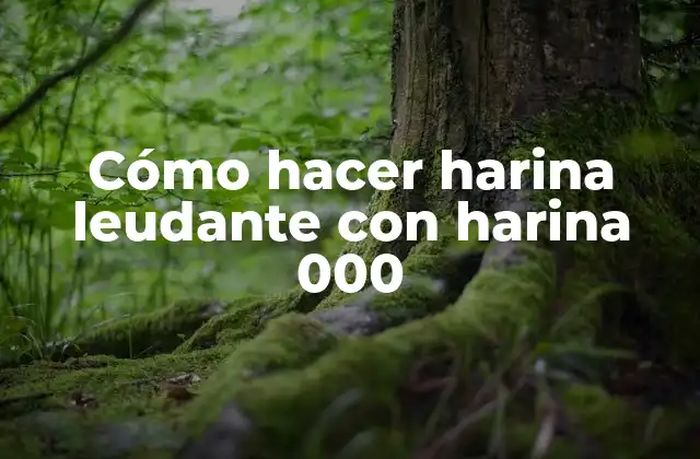 Cómo Hacer Harina Leudante con Harina 000
