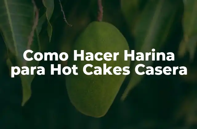 Como Hacer Harina para Hot Cakes Casera