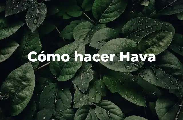 Cómo Hacer Hava