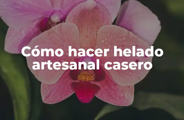 Cómo Hacer Helado Artesanal Casero