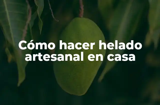 Cómo Hacer Helado Artesanal en Casa