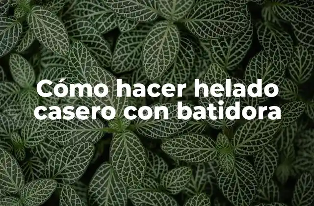 Cómo Hacer Helado Casero con Batidora