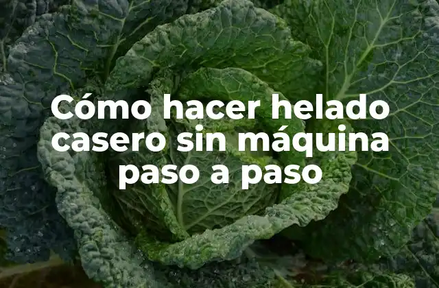 Cómo Hacer Helado Casero sin Máquina Paso a Paso