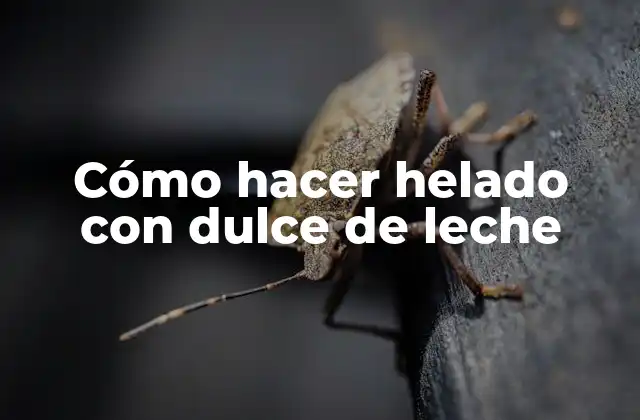 Cómo Hacer Helado con Dulce de Leche