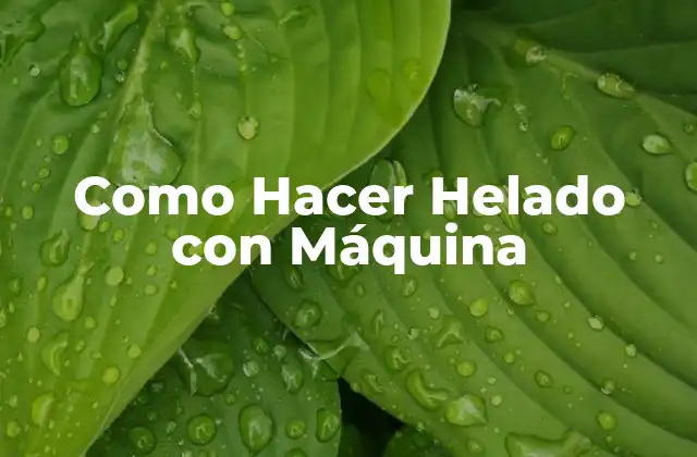 Como Hacer Helado con Máquina