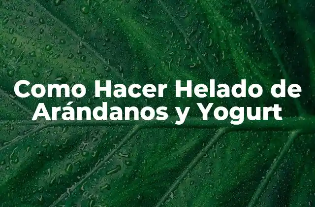 Como Hacer Helado de Arándanos y Yogurt