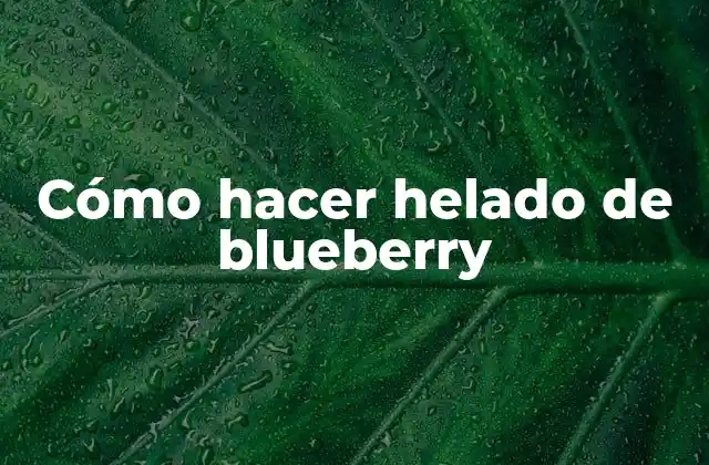 Cómo Hacer Helado de Blueberry