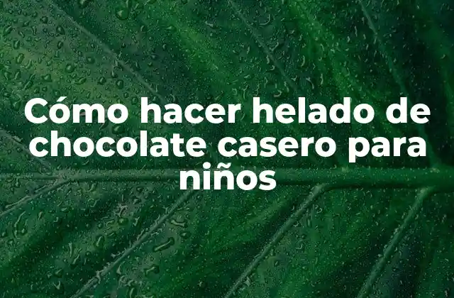 Cómo Hacer Helado de Chocolate Casero para Niños