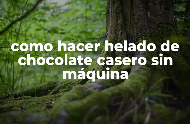 Como Hacer Helado de Chocolate Casero sin Máquina