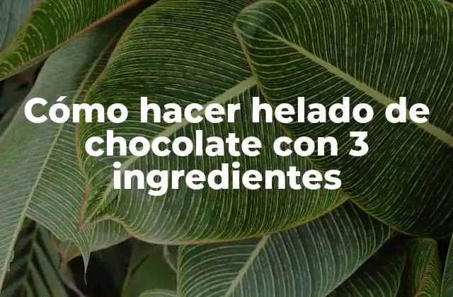 Cómo Hacer Helado de Chocolate con 3 Ingredientes