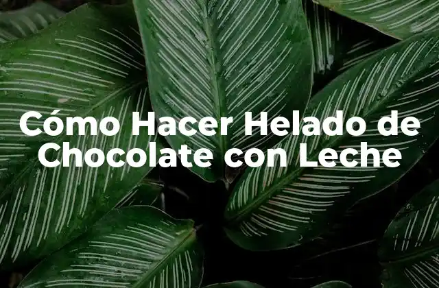 Cómo Hacer Helado de Chocolate con Leche 2 Cómo Hacer Helado de Chocolate con Leche