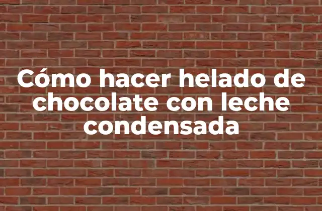 Cómo Hacer Helado de Chocolate con Leche Condensada