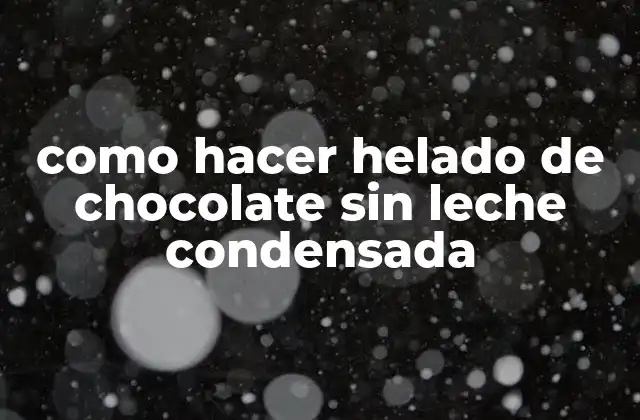 Como Hacer Helado de Chocolate sin Leche Condensada
