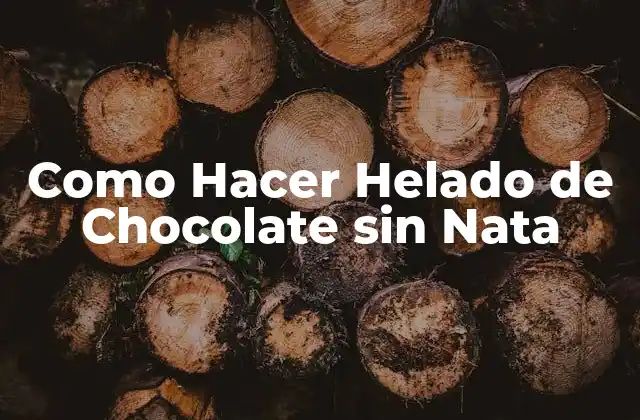 Como Hacer Helado de Chocolate sin Nata