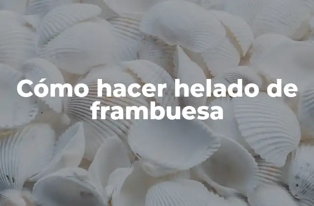 Helado de frambuesa: qué es, para qué sirve y cómo se usa
