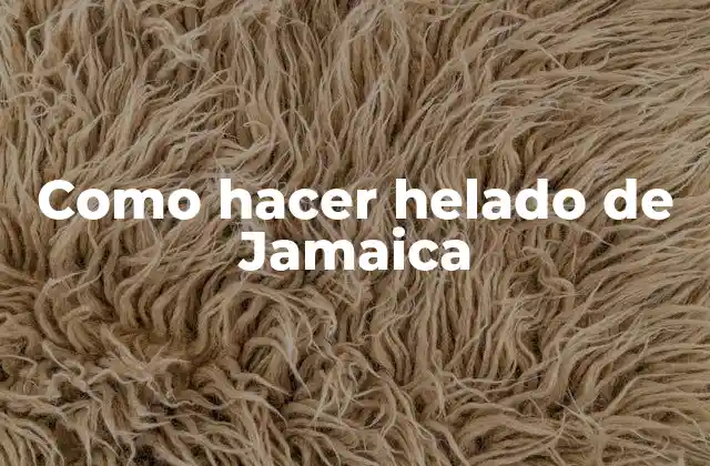 Como Hacer Helado de Jamaica