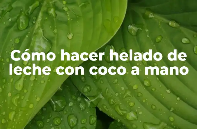 Cómo hacer helado de leche con coco a mano