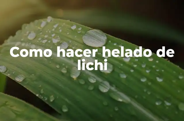 Como Hacer Helado de Lichi