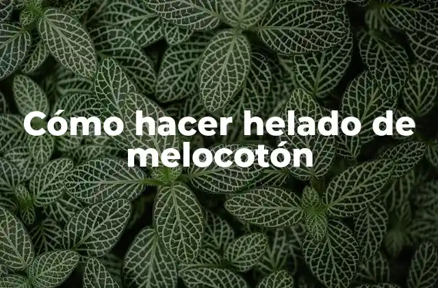 Cómo Hacer Helado de Melocotón