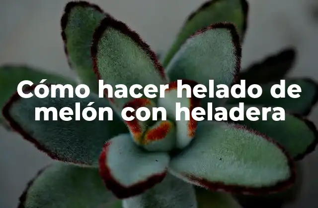 Cómo Hacer Helado de Melón con Heladera 2 Cómo hacer helado de melón con heladera