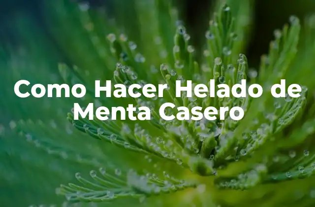 Como Hacer Helado de Menta Casero