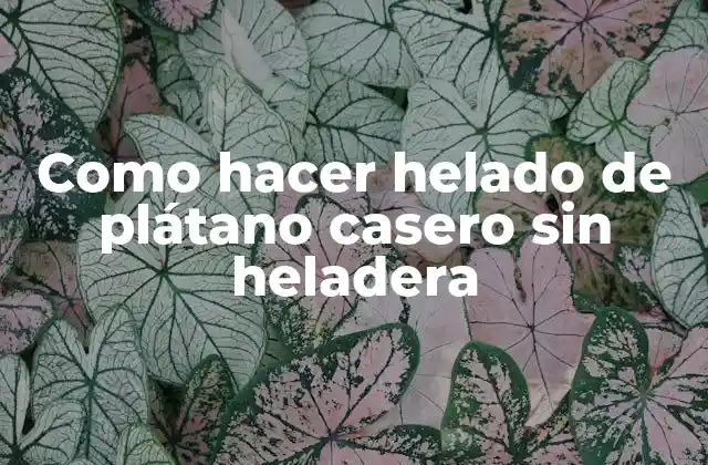 Como Hacer Helado de Plátano Casero sin Heladera
