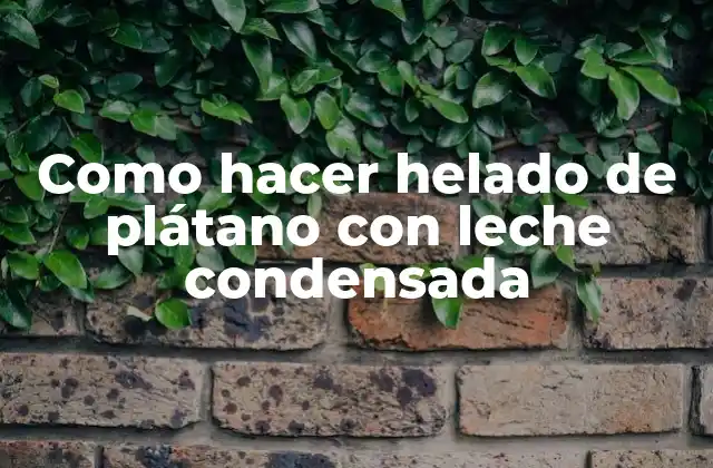 Como Hacer Helado de Plátano con Leche Condensada 2 Helado de plátano con leche condensada: una deliciosa alternativa a los helados tradicionales