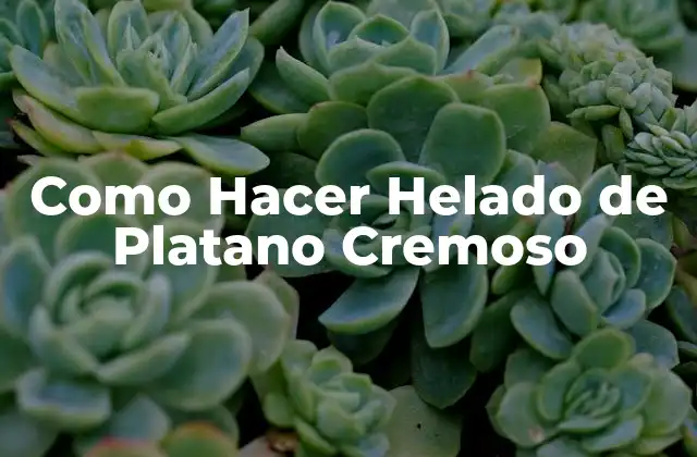 Como Hacer Helado de Platano Cremoso