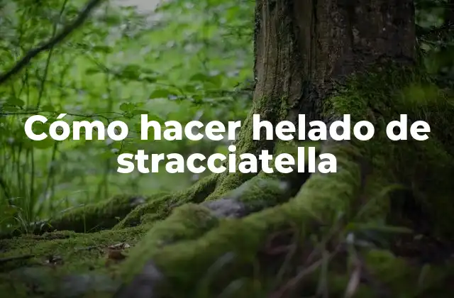 Cómo Hacer Helado de Stracciatella 2 ¿Qué es helado de stracciatella y cómo se hace?