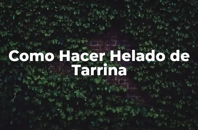 Como Hacer Helado de Tarrina 2 Helado de Tarrina: Qué es y para Qué Sirve