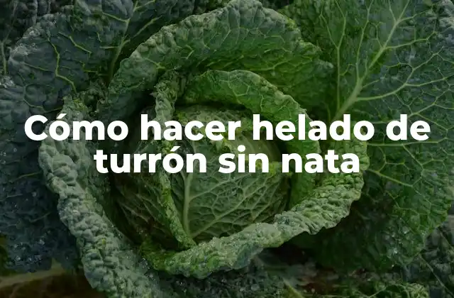 Cómo Hacer Helado de Turrón sin Nata