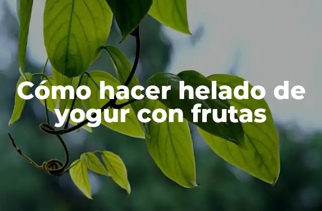 Cómo Hacer Helado de Yogur con Frutas