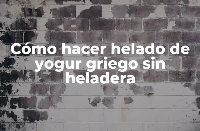 Cómo Hacer Helado de Yogur Griego sin Heladera