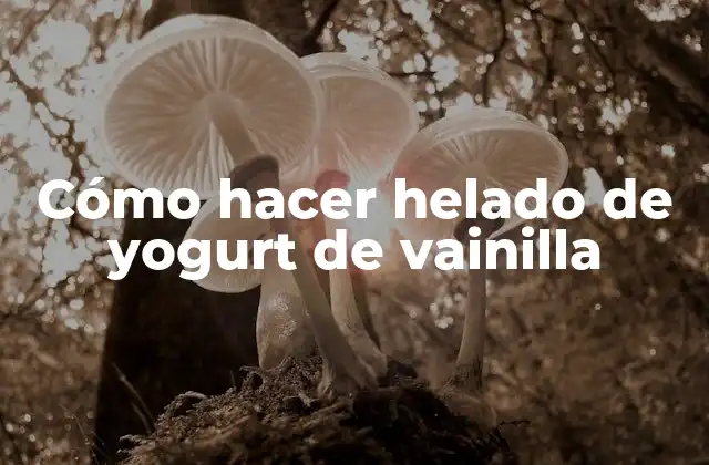 Cómo Hacer Helado de Yogurt de Vainilla